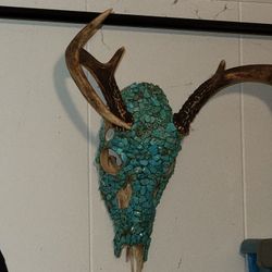 Nice Turquoise Deer Skull Head