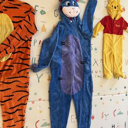 Costumes: Tigger, Eeyore, Winnie The Pooh 