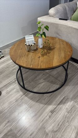 Modern Metal and Wood Coffee Table
