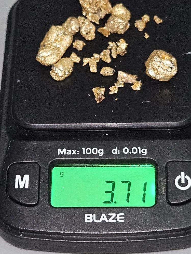 Alaskan Gold Nuggets