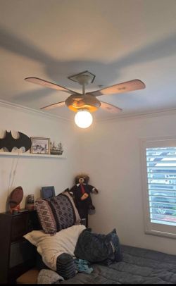 Ceiling Fan with Light