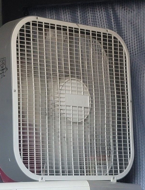 Fan