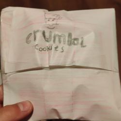 Homemade crumbl cookie paper squishy