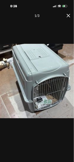 Large Petmate Sky Dog Flight-ready Kennel for 50-70 pounds