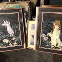 Matching set of Framed, Ready to Hang, Parrot Paintings