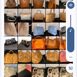 Boutique Leather Purses 