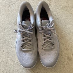 Kobe 8 Protro 'Wolf Grey'+ Move Game Day Insoles