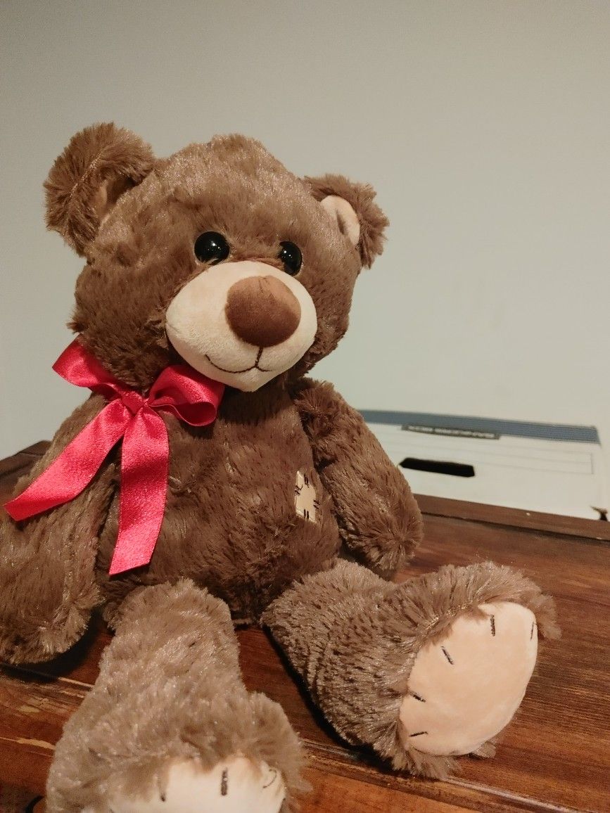 Teddy Bear New $4