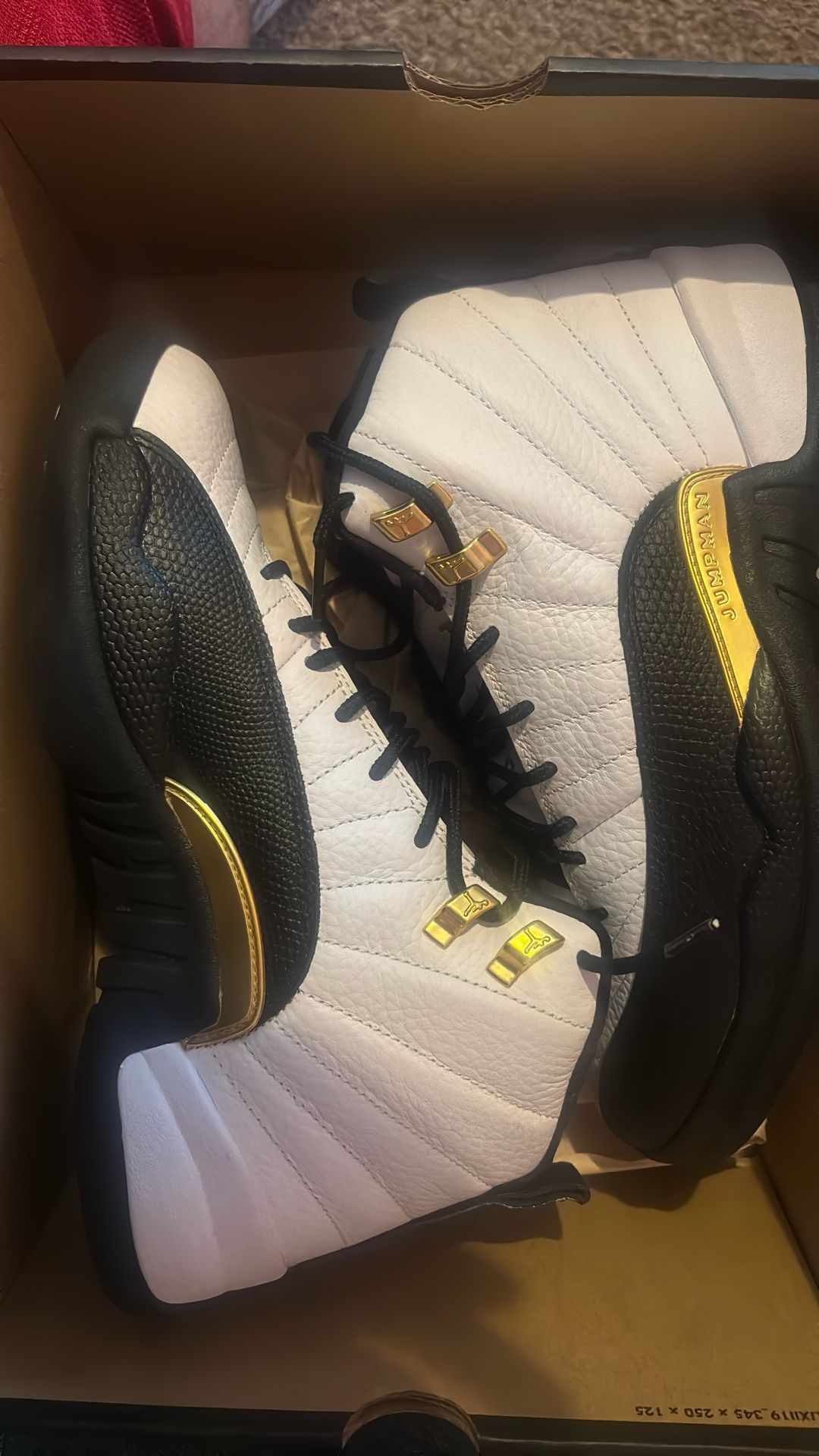 Jordan 12 Size 9