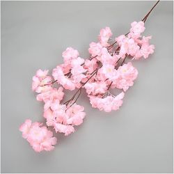cherry Blossom Flower 