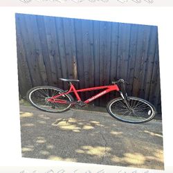 nation husband Adult Bicycle Comfortable Ride for Everyday Trips