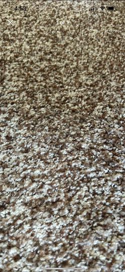 1 roll each  of high pile thick carpet and upgraded water resistant padding. Price firm.