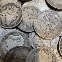 Morgan Silver Dollars $30/each Random Dates!!