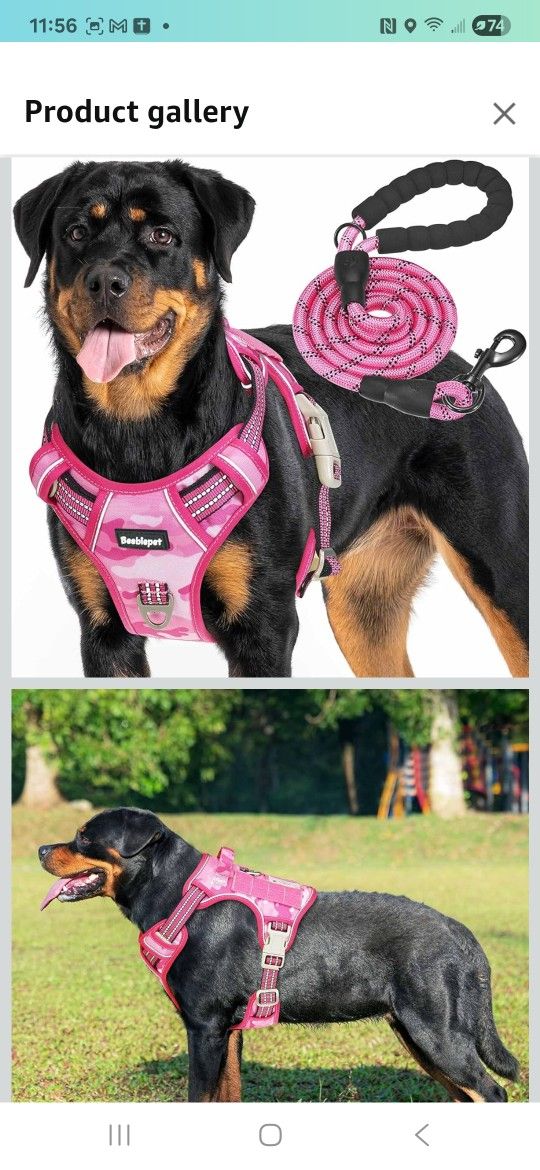 Pink Camel Heavy Duty Harness With Leash  Size Large 