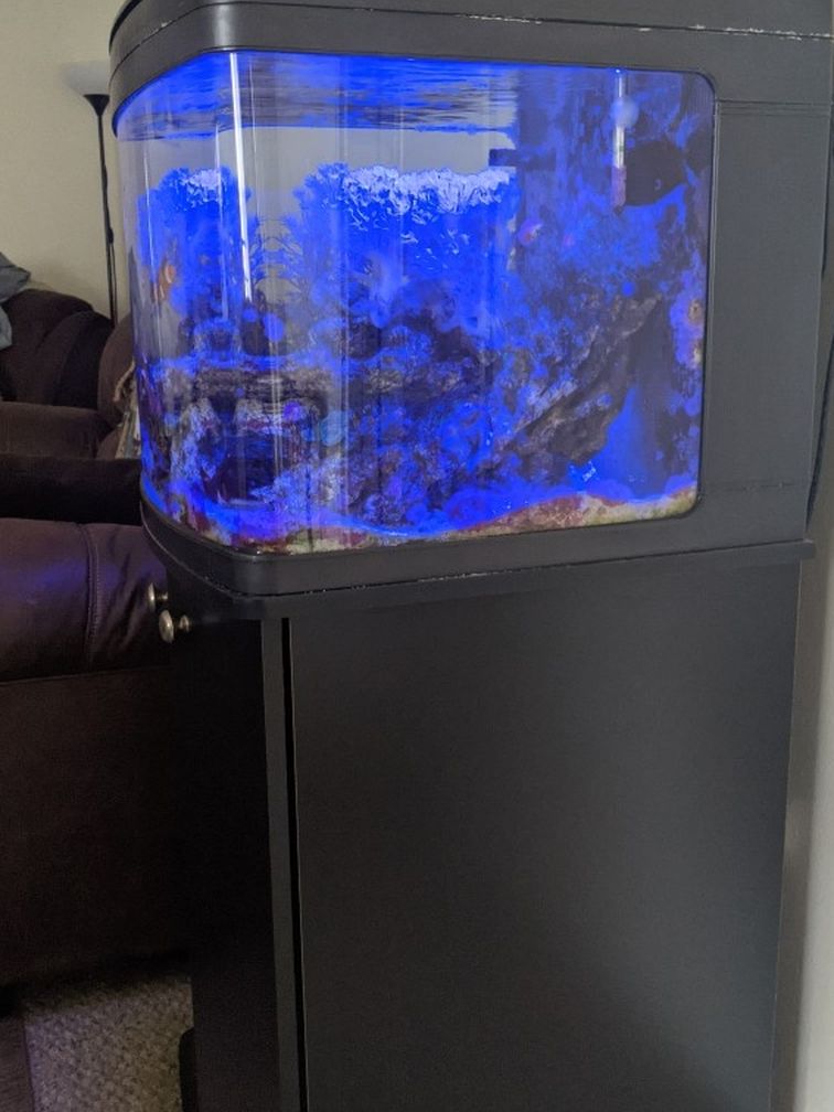 Aquarium 29 Gallon Oceanic Biocube