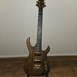Electric Guitar