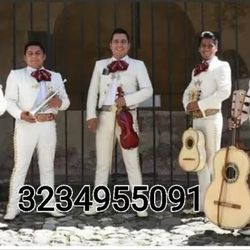 Violin Mariachi