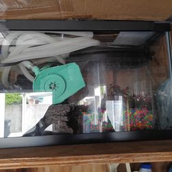 Pecera De 10 Galones Con Su Filtro Y Piedras