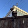 Jack