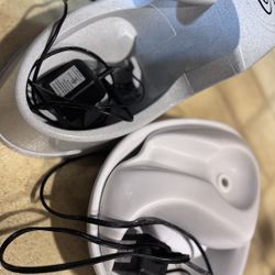 Cat drinking fountain