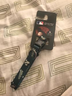 Oakland A’s pet collar