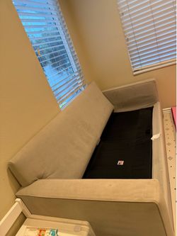 West elm Henry sleeper sofa free