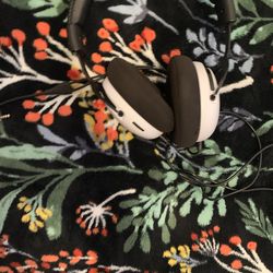 Headphones (Sanger only)