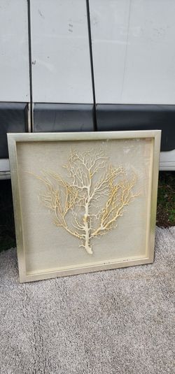 Fan Coral Large Fabric Shadow Box