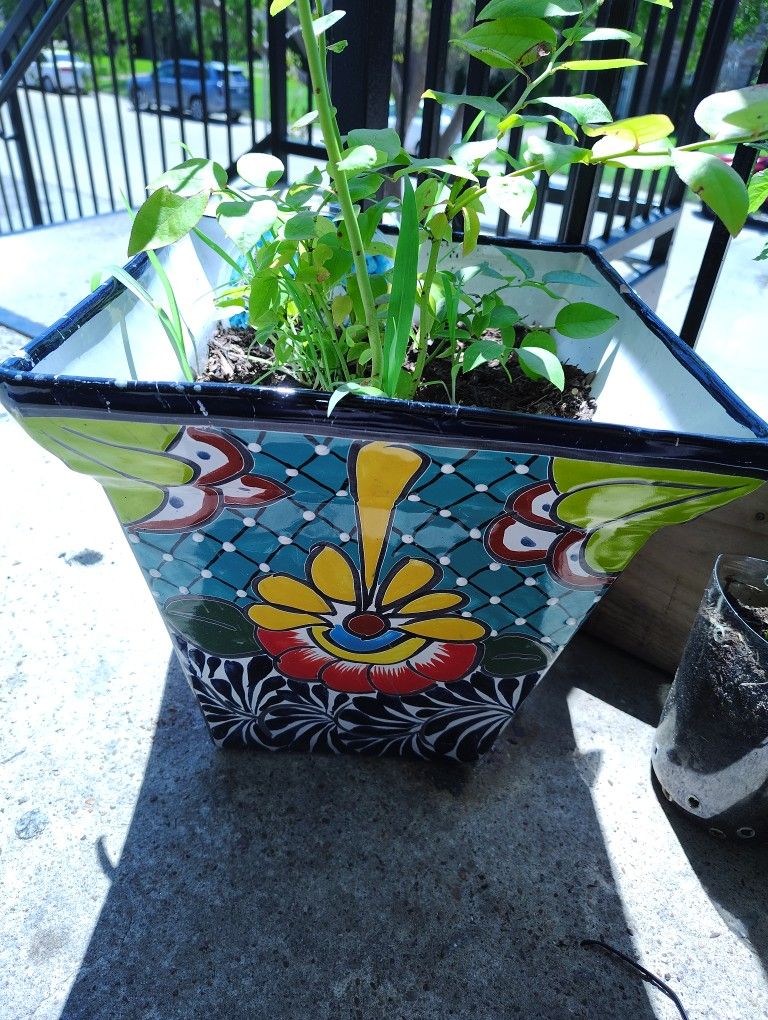 Large Ceramic Pots Great Condition