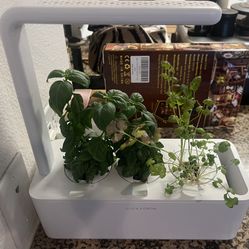 Click And Grow