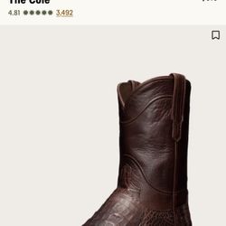 “NEW WITH BOX” “ SIZE 10.5 EE THE COLE TECOVAS