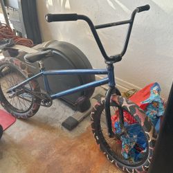Custom Built BMX Bike