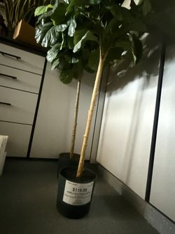 High quality silk plants