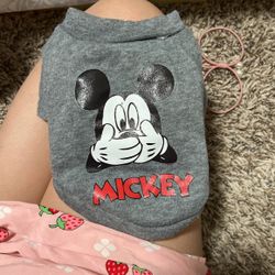 Size Small Pet Shirt 