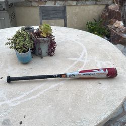 28inch drop10 demarini voodoo