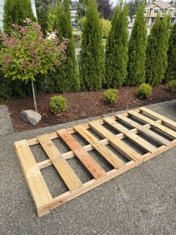 FREE pallet