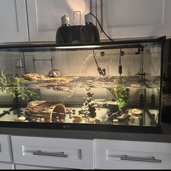 For Sale Turtle Tank 