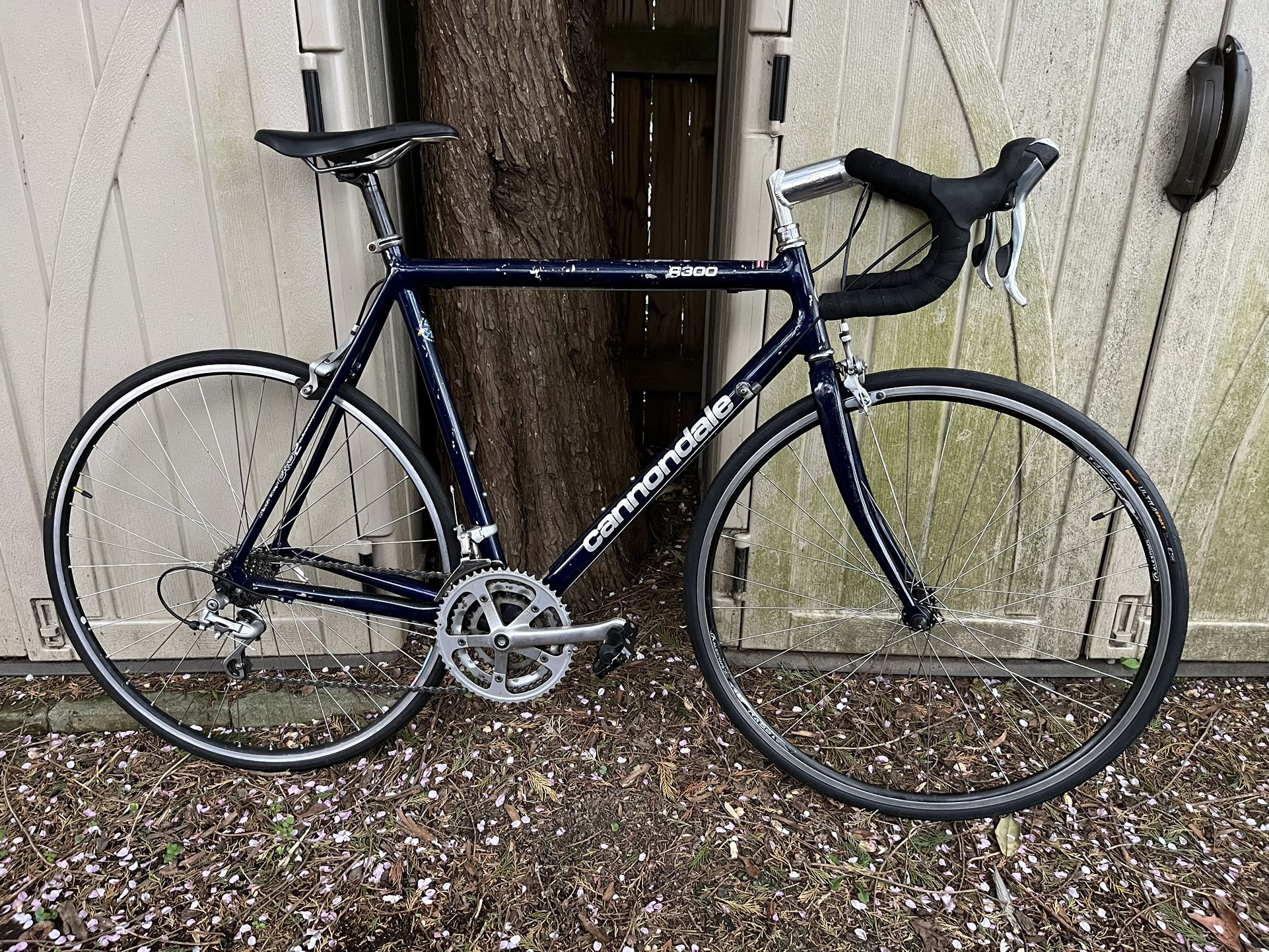 Cannondale 57cm Road Bike