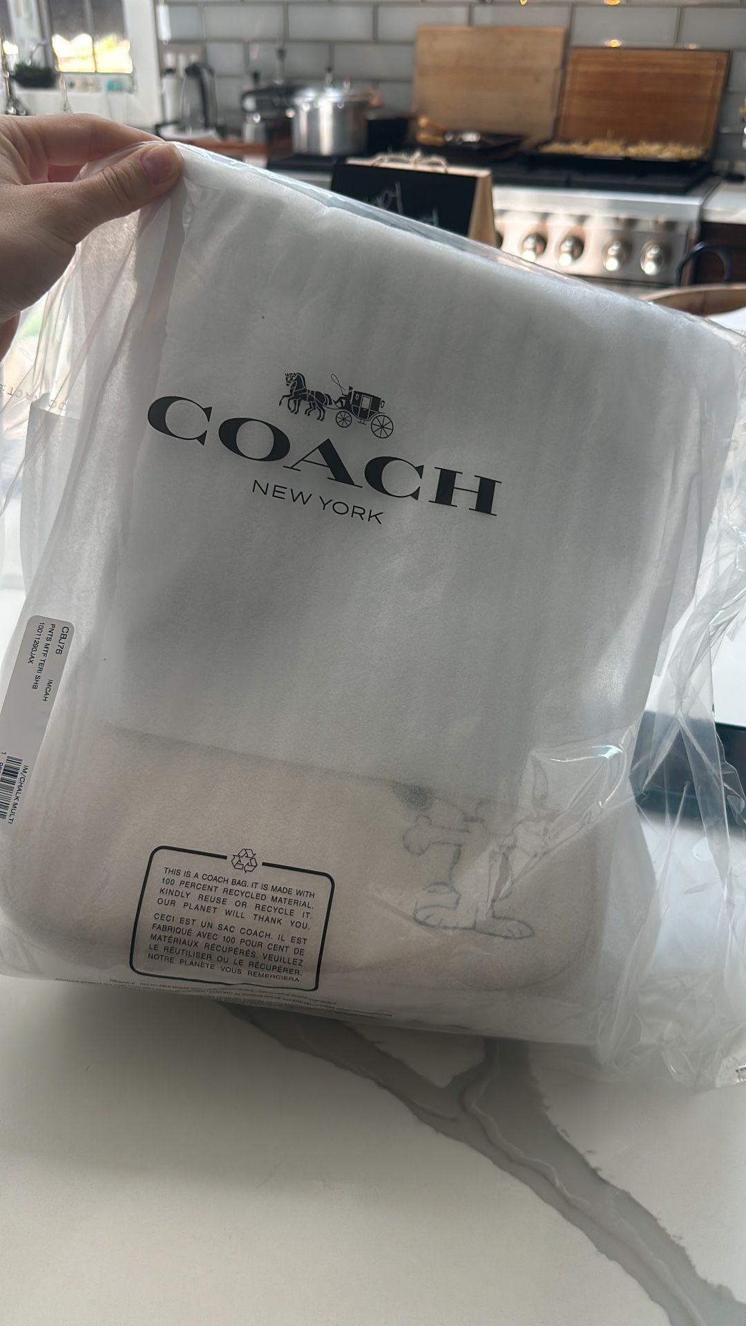 COACH x PEANUTS 2025 Teri Shoulder Bag - Snoopy