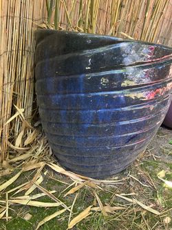 Beautiful ceramic pots (with bamboo)