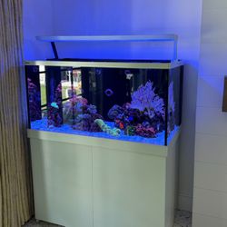 Fish Tank Redsea Max S 500