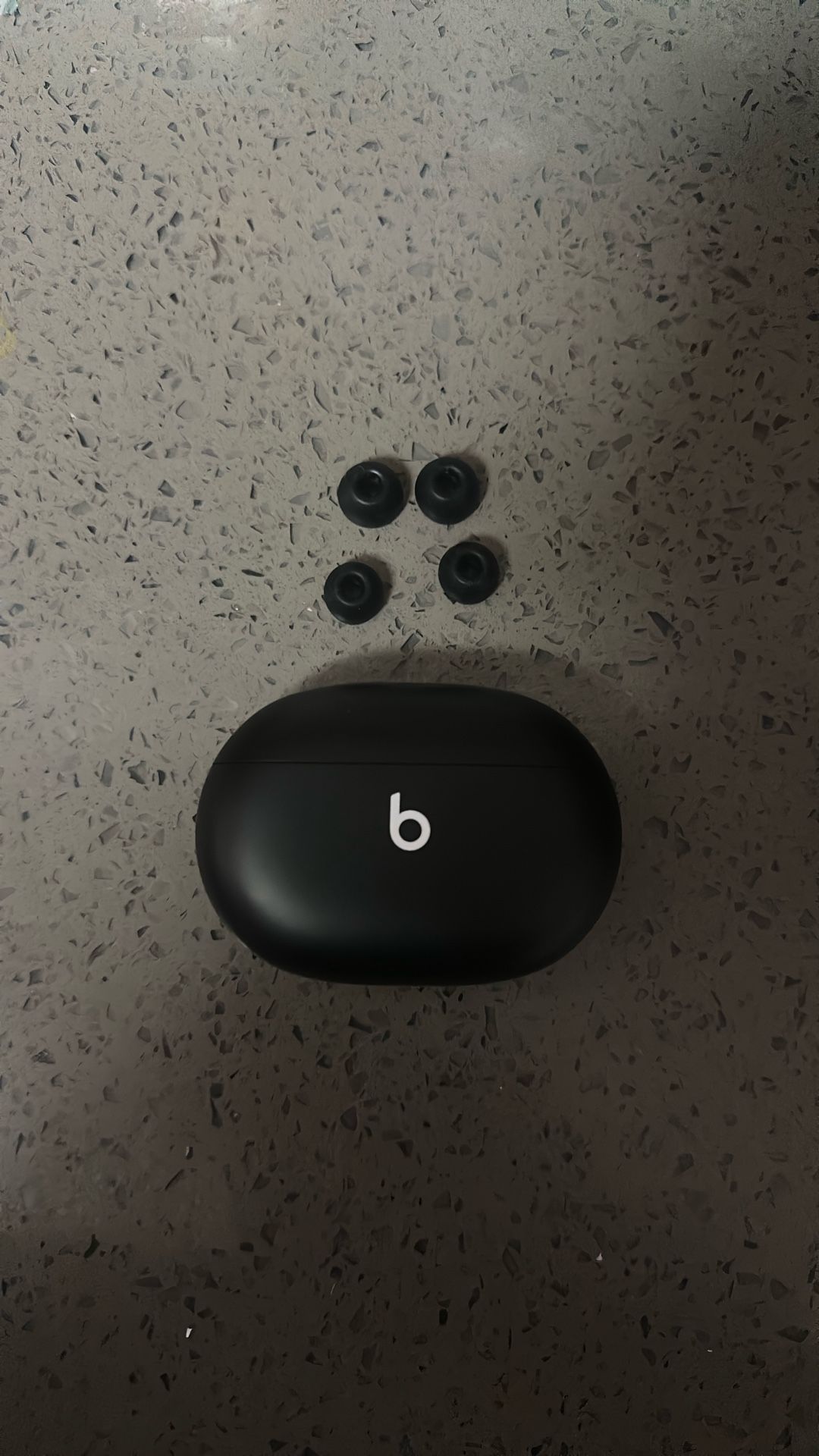Beats Ear Earphones