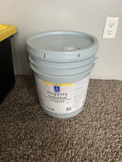 New Paint