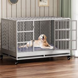 Dog Crate 