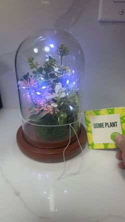Dome Light & Sound Faux Plant
