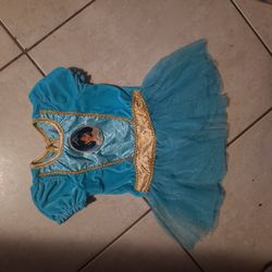 Princess Jasmine Tutu