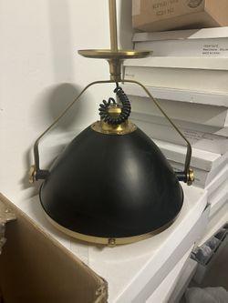 Pair of New Designer  Pendants 