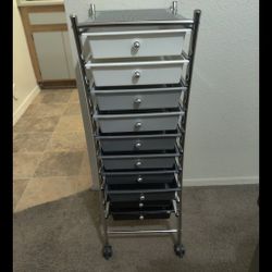 10 Drawer Organizer Cart