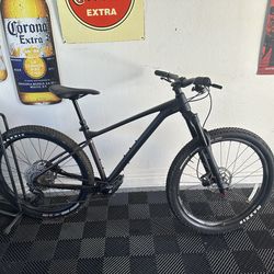 Mountain Bike - Giant Fathom 2