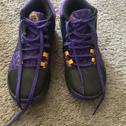 LeBron James Witness 8